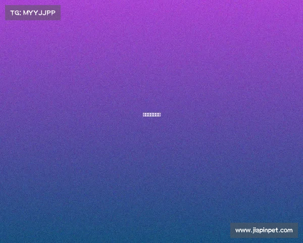 鹏城杯最新消息