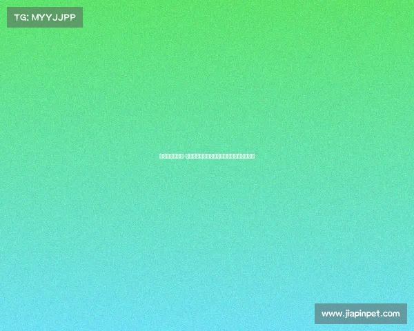 王洪祥精彩赛事-王洪祥武术巅峰对决热血赛事荣耀征程全纪录