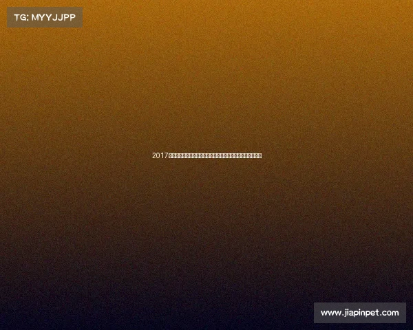 2017年武汉国际赛事盛大开幕全球健儿齐聚江城竞技交流共创精彩