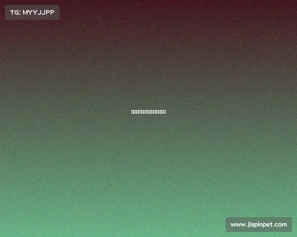 德国足球甲级联赛年度激情盛况